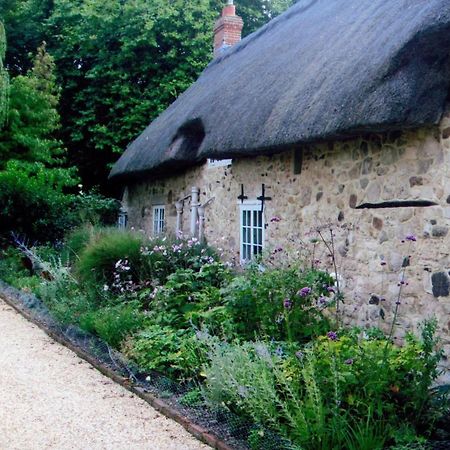 Afton Thatch: Beautiful Thatched Family Cottage Freshwater Luaran gambar