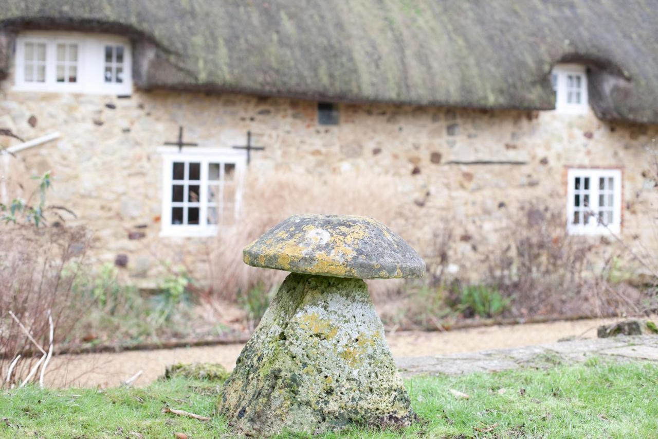 Afton Thatch: Beautiful Thatched Family Cottage Freshwater Luaran gambar